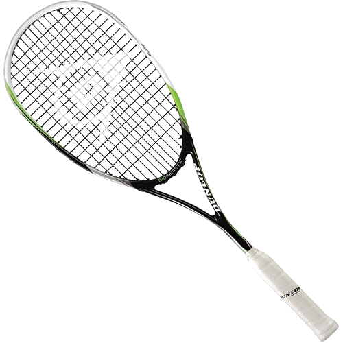 Dunlop Biomimetic Elite