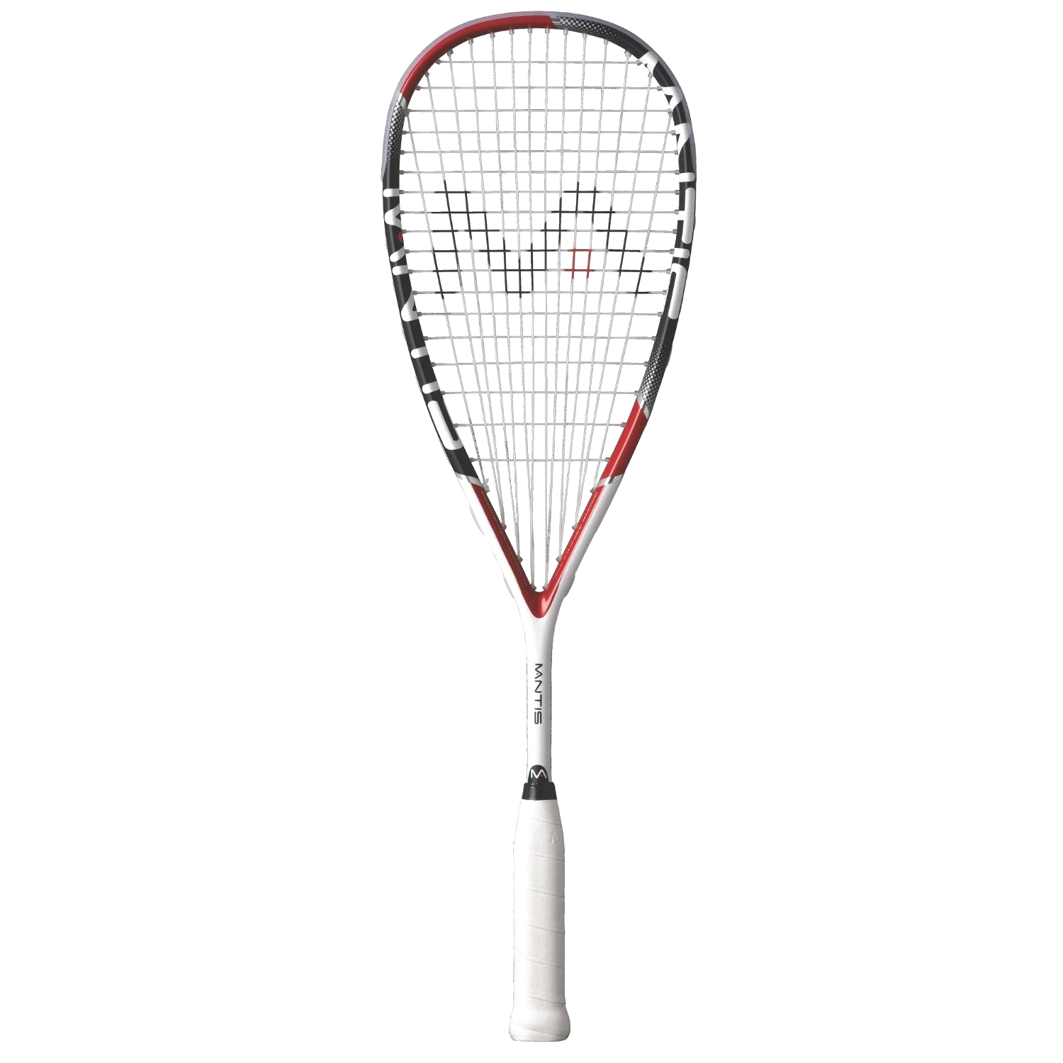Mantis Power 110