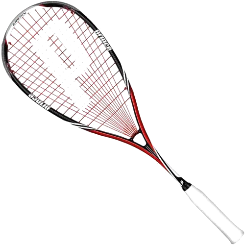 Prince Pro Airstick Lite 550