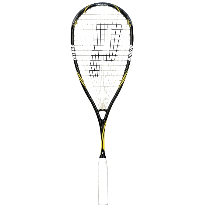 Prince Pro Beast 750