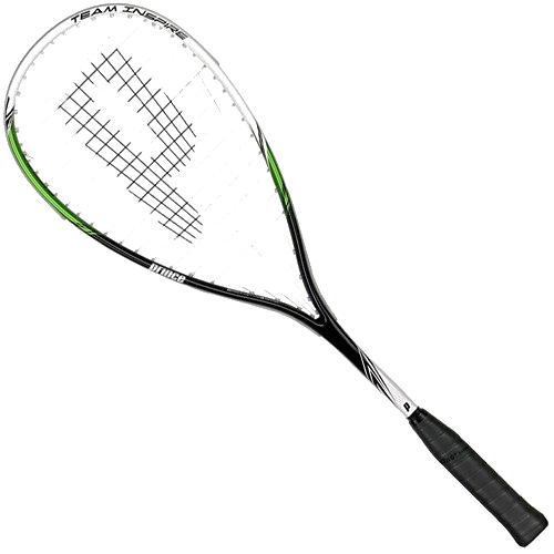 Prince Team Inspire 200
